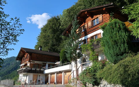 Chalet Bergnest: Blume, Pflanze, Pflanzengemeinschaft, Himmel, Botanik, Blütenblatt, Natur, Berg, Natürliche Landschaft, Vegetation