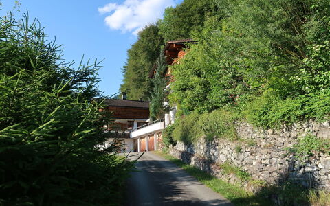 Chalet Bergnest: Blume, Pflanze, Pflanzengemeinschaft, Himmel, Botanik, Blütenblatt, Natur, Berg, Natürliche Landschaft, Vegetation