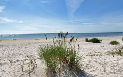 Olla - 400M from the Sea