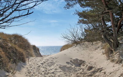 Olla - 400M from the Sea