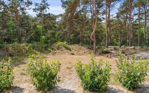 Sjo - 300M from the Sea: Dach, Haus, Grundstueck, Zuhause, Hütte, Estate, Gartenbauten, Schatten, Blockhaus, Landscaping