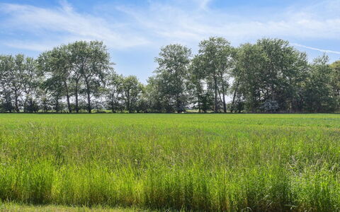 Konrad - 700M from the Sea: Dach, Haus, Zuhause, Hütte, Abstellgleis, Estate, Auffahrt, Gartenbauten, Garten, Schuppen