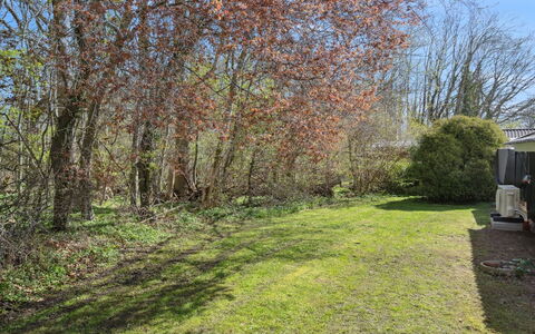 Arnetta - 150M from the Sea: Blatt, Ast, Strauch, Grundstueck, Ground, Zweig, Rasen, Gehölz, Garten