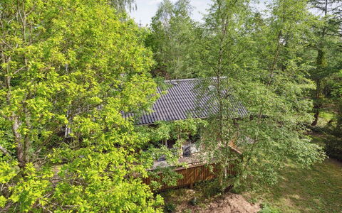 Herta: Baum, Blatt, Natürlichen Umgebung, Ast, Holz, Vegetation, Strauch, Pflanzengemeinschaft, Zweig, Frühling