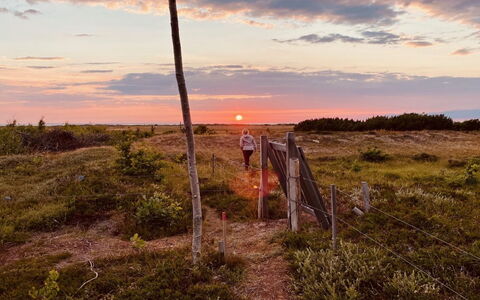 Blakke - 200M from the Sea: Schwimmbad, Gartenmöbel, Möbel, Resort, Flagstone, Eco Hotel, Schatten, Stuhl, Freizeit, Estate
