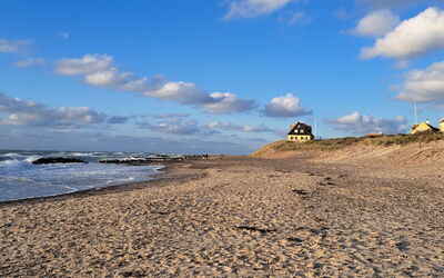 Falk - 900M from the Sea