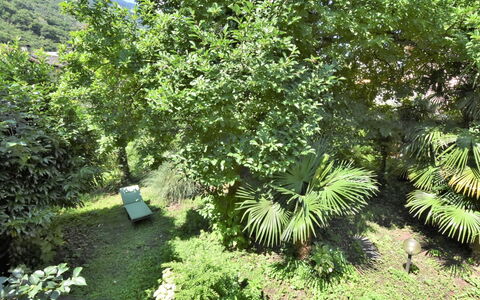La Casa del Nonno: Möbel, Holz, Interior Design, Die Architektur, Regale, Stuhl, Fussboden, Grundeigentum, Strahl, Hartholz