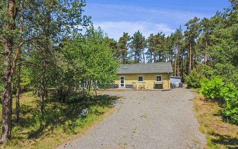 Gudmand - 600M from the Sea: Möbel, Interior Design, Flooring, Holz, Fussboden, Decke, Holzboden, Stuhl, Tabelle, Beleuchtung