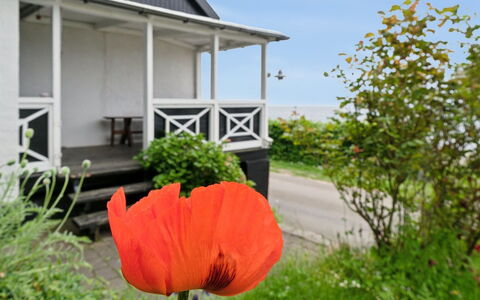 Scarlet - 5M from the Sea: Strauch, Hütte, Ground, Garten, Veranda, Schatten, Garten, Rasen, Landscaping, Hinterhof