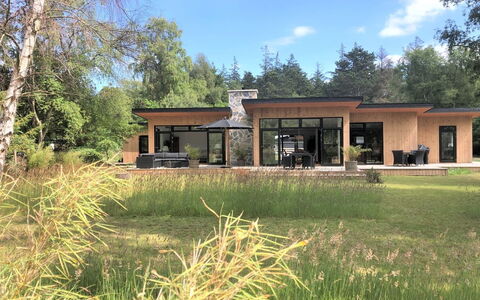 Sune - 175M from the Sea: Möbel, Interior Design, Flooring, Holz, Fussboden, Decke, Holzboden, Stuhl, Tabelle, Beleuchtung