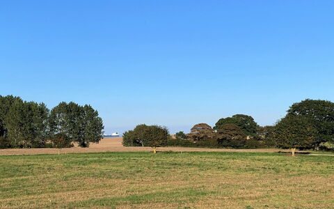 Dana - 525M from the Sea: Himmel, Blau, Daytime, Gras, Grün, Baum, Natürlichen Umgebung, Wiese, Natur, Natürliche Landschaft