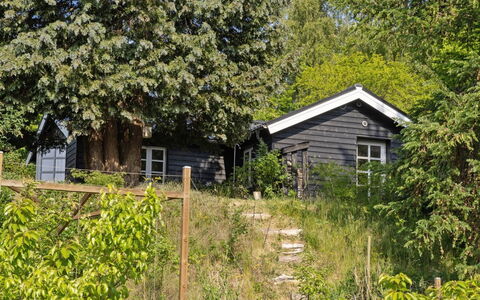 Teijo - 2.5Km from the Sea: Blatt, Ast, Strauch, Haus, Hütte, Zuhause, Ländliches Gebiet, Frühling, Garten, Schatten