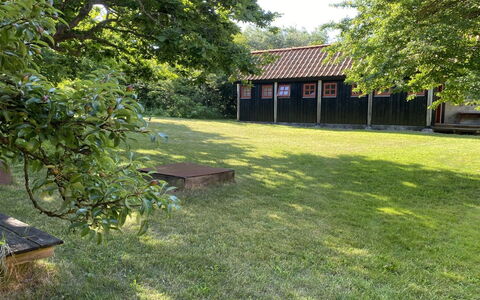 Henke - 100M from the Sea: Gras, Baum, Grundstueck, Rasen, Garten, Ländliches Gebiet, Ground, Schatten, Hinterhof