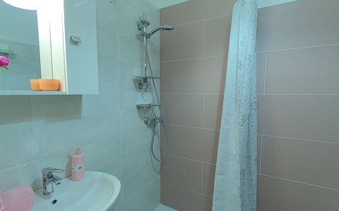 La Butterfly: Armatur, Eigentum, Sinken, Zapfhahn, Badezimmer, Duschkopf, Dusche, Bad Sink, Fussboden, Spiegel