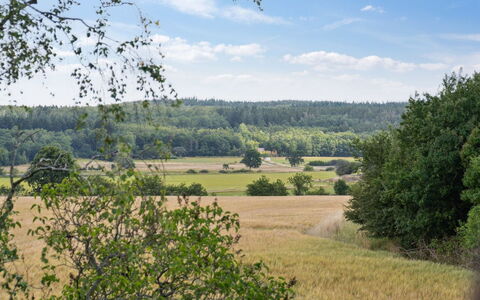 Hansen - 5.2Km from the Sea: Dach, Haus, Grundstueck, Zuhause, Hütte, Estate, Gartenbauten, Schatten, Blockhaus, Landscaping