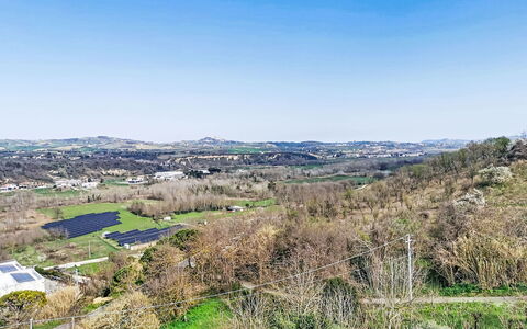 Patrizia: Grün, Natur, Vegetation, Natürliche Landschaft, Landschaft, Ökoregion, Einfach, Wiese, Feld, Wiese