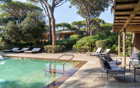 Villa La Pineta: Wasser, Pflanze, Schwimmbad, Himmel, Gebäude, Baum, Gartenmöbel, Schatten, Stuhl, Arecales