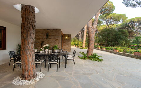 Villa La Pineta: Pflanze, Eigentum, Tabelle, Stuhl, Beleuchtung, Gebäude, Interior Design, Schatten, Wand, Baum