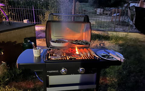 Villa Castelnuovo: Pflanze, Baum, Essen, Kochen, Hitze, Gas