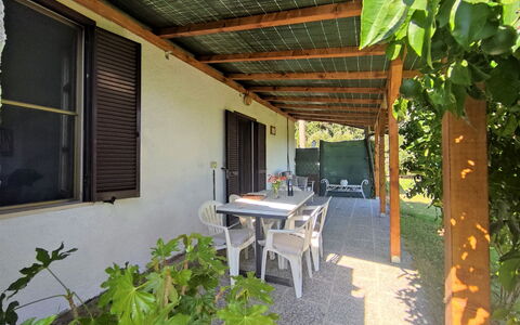 Country House: Pflanze, Eigentum, Gebäude, Tabelle, Fenster, Schatten, Holz, Botanik, Interior Design, Gartenmöbel