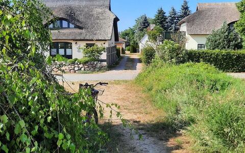 Fischerbungalow: Pflanze, Himmel, Eigentum, Pflanzengemeinschaft, Natürliche Landschaft, Fenster, Gebäude, Grundstueck, Haus, Baum