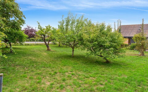 Atena - 250M from the Sea: Dach, Haus, Grundstueck, Zuhause, Hütte, Estate, Gartenbauten, Schatten, Blockhaus, Landscaping