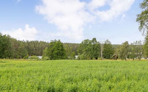 Skogstorpet: Fenster, Gebäude, Azurblau, Holz, Fussboden, Komfort, Haus, Flooring, Halle