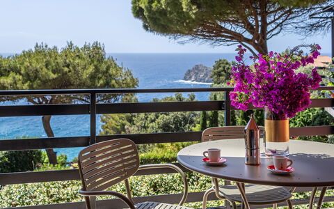 Argentarola House, Porto Santo Stefano, Seaview An: Blume, Pflanze, Tabelle, Himmel, Möbel, Eigentum, Blumentopf, Natur, Stuhl, Gebäude