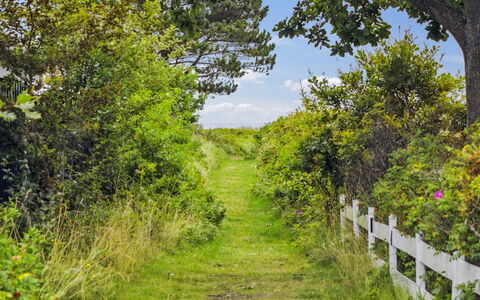 Akseline - 300M from the Sea: Dach, Zuhause, Hütte, Estate, Gartenmöbel, Garten, Tisch Im Freien, Hof, Hinterhof, Villa