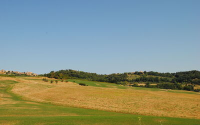 Alice - Podere Ribatti - Casole D'elsa, Toscana