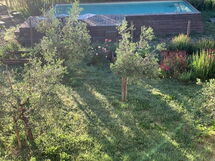 Alice - Podere Ribatti - Casole D'elsa, Toscana