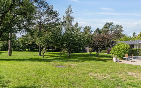 Rother - 50M from the Sea: Dach, Zuhause, Tür, Hütte, Schatten, Abstellgleis, Garten, Estate, Hinterhof