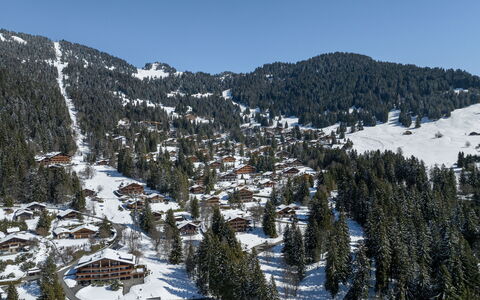Dipankar: Bergforms, Baum, Berg, Schnee, Gebirge, Bergstation, Hochland, Landschaft, Winter, Terrain