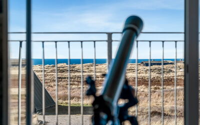 Pauli - 350M from the Sea