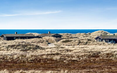 Pauli - 350M from the Sea