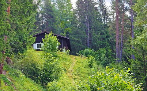 Lieblingsplatz: Pflanze, Fenster, Natürliche Landschaft, Baum, Holz, Lärche, Haus, Immergrün, Terrestrische Plant, Ground