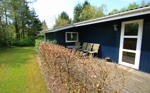 Aki - 30Km from the Sea: Strauch, Hütte, Haus, Zuhause, Rasen, Garten, Abstellgleis, Garten, Hinterhof, Schatten
