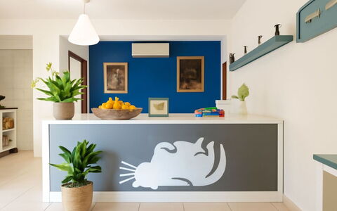 L'Oasi della Gatta Panciona: Interior Design, Wandaufkleber, Möbel, Küche, Farbe, Countertop, Zimmer, Cabinetry, Decke, Design