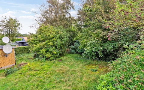 Magh - 9.8Km from the Sea: Gras, Wiese, Landschaft, Ökoregion, Einfach, Pflanzengemeinschaft, Grundstueck, Gartenmöbel, Prärie, Shrubland