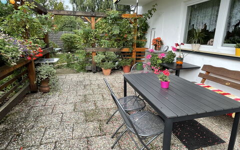 Spatzenparadies: Pflanze, Blume, Eigentum, Gebäude, Blumentopf, Blatt, Tabelle, Tisch Im Freien, Fenster, Gartenmöbel