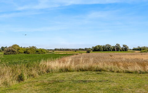 Haralde: Himmel, Blau, Grün, Daytime, Gras, Natürlichen Umgebung, Wiese, Natürliche Landschaft, Ökoregion, Vegetation
