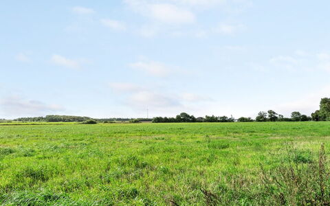 Haralde: Himmel, Blau, Grün, Wolke, Daytime, Gras, Wiese, Natürlichen Umgebung, Vegetation, Natürliche Landschaft