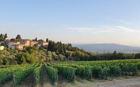 Il Nespolo Charming Apartment Fonterutoli - Siena,: Himmel, Pflanze, Gebäude, Natürliche Landschaft, Wolke, Baum, Landschaft, Horizont, Einfach, Landwirtschaft