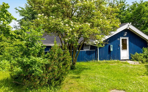 Alrun - 150M from the Sea: Strauch, Garten, Hütte, Frühling, Rasen, Schatten, Garten, Landscaping, Hinterhof, Bauernhaus