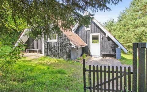 Keimo - 1.3Km from the Sea: Möbel, Interior Design, Flooring, Holz, Fussboden, Decke, Holzboden, Stuhl, Tabelle, Beleuchtung