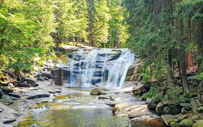 Harrachov 497