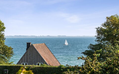 Algut - 75M from the Sea: Dach, Haus, Grundstueck, Zuhause, Hütte, Estate, Gartenbauten, Schatten, Blockhaus, Landscaping