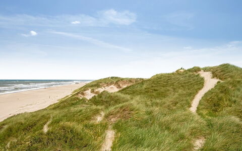 Sylwia - from the Sea: Himmel, Blau, Natürlichen Umgebung, Ökoregion, Horizont, Vegetation, Sommer, Landschaft, Sand, Pflanzengemeinschaft