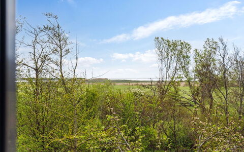 Othinkarl - 1Km from the Sea: Gras, Wiese, Landschaft, Ökoregion, Einfach, Pflanzengemeinschaft, Grundstueck, Gartenmöbel, Prärie, Shrubland