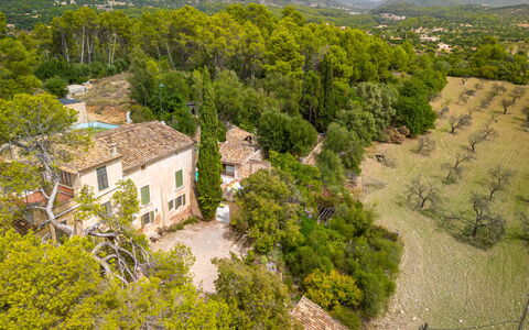 Sa Bisbal: Gebäude, Pflanze, Pflanzengemeinschaft, Fenster, Grün, Natürliche Landschaft, Baum, Haus, Grundstueck, Vegetation